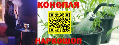ECSTASY Моздок
