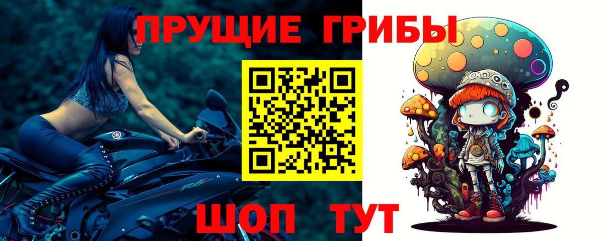 Галлюциногенные грибы Psilocybine cubensis  Вход с VPN  Чебаркуль  Галлюциногенные грибы Cubensis 