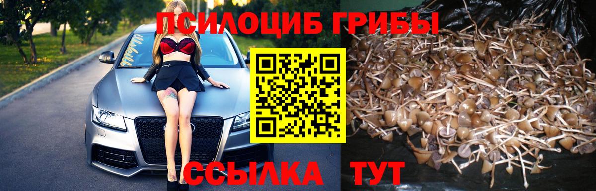 Галлюциногенные грибы ЛСД Чебаркуль